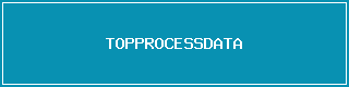 TOPPROCESSDATA